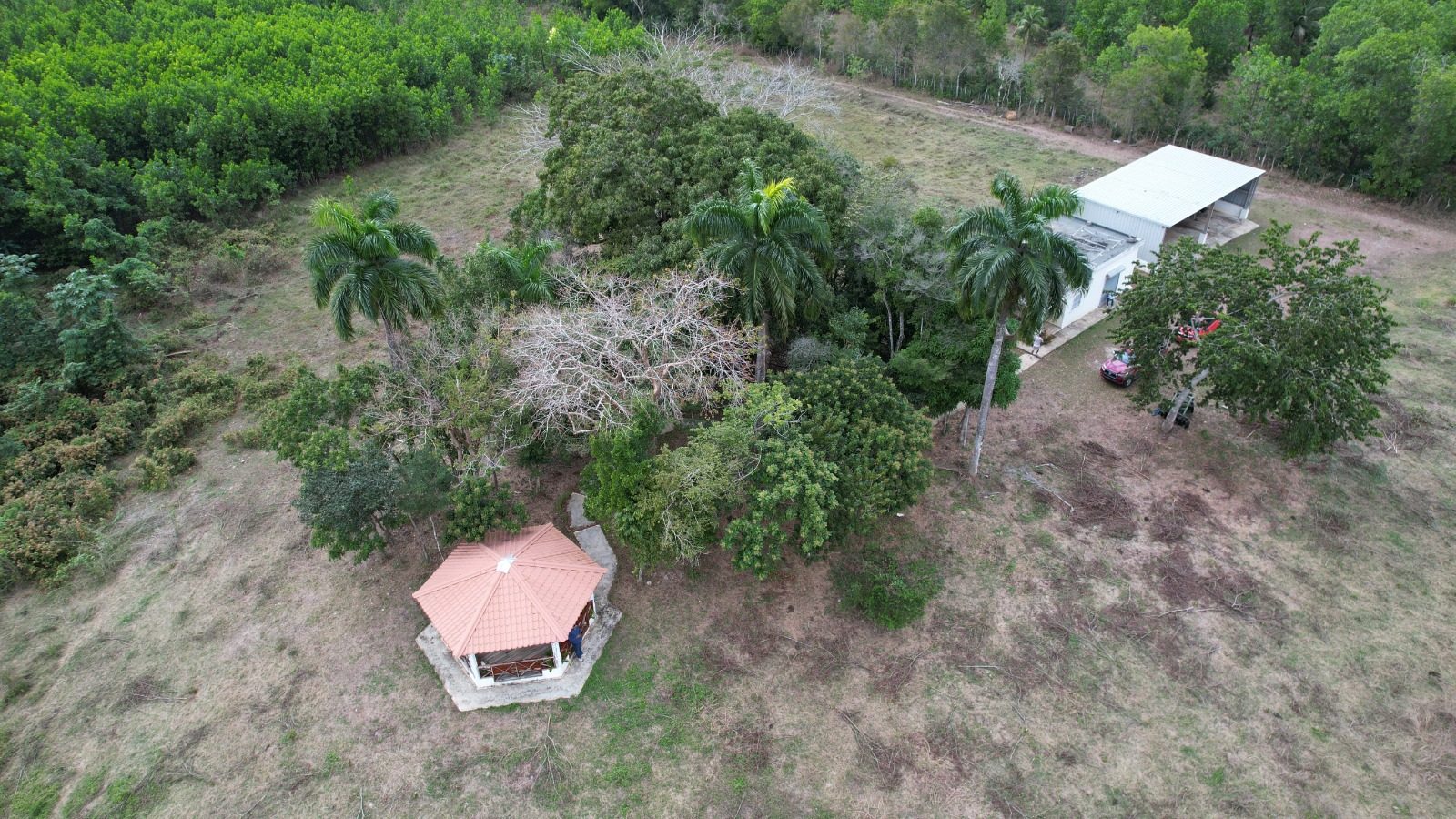1,989-Tarea Agricultural & Livestock Farm in Bayaguana