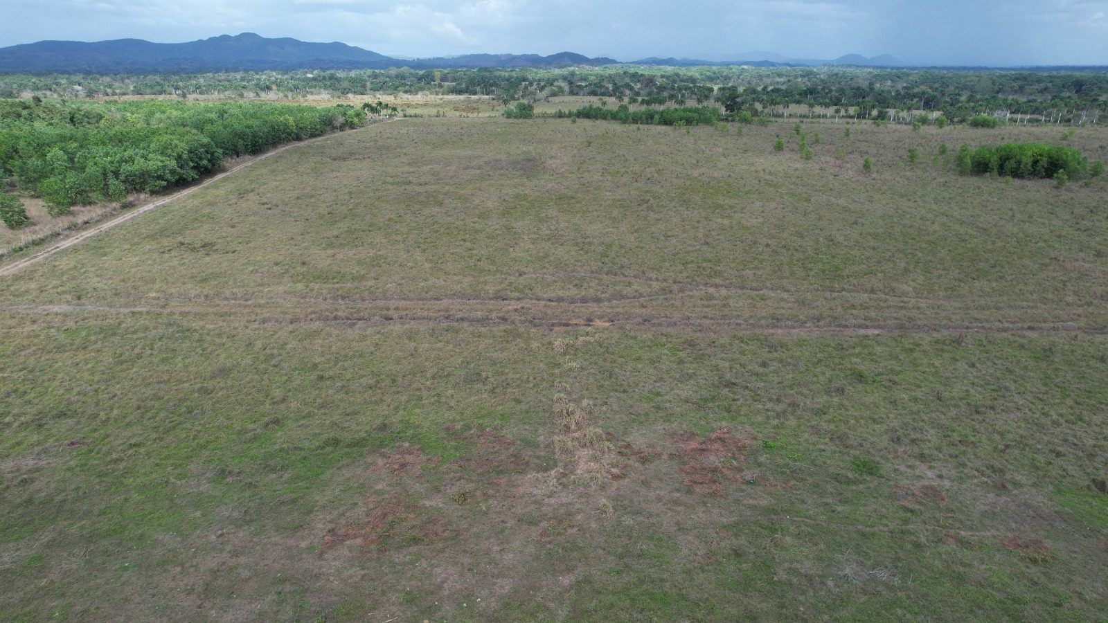 1,989-Tarea Agricultural & Livestock Farm in Bayaguana