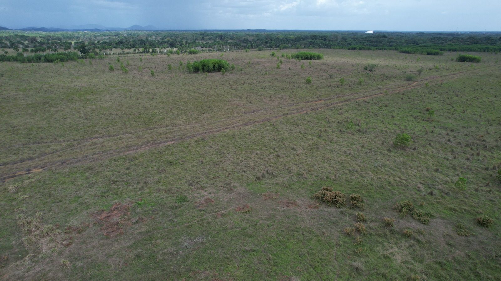 1,989-Tarea Agricultural & Livestock Farm in Bayaguana