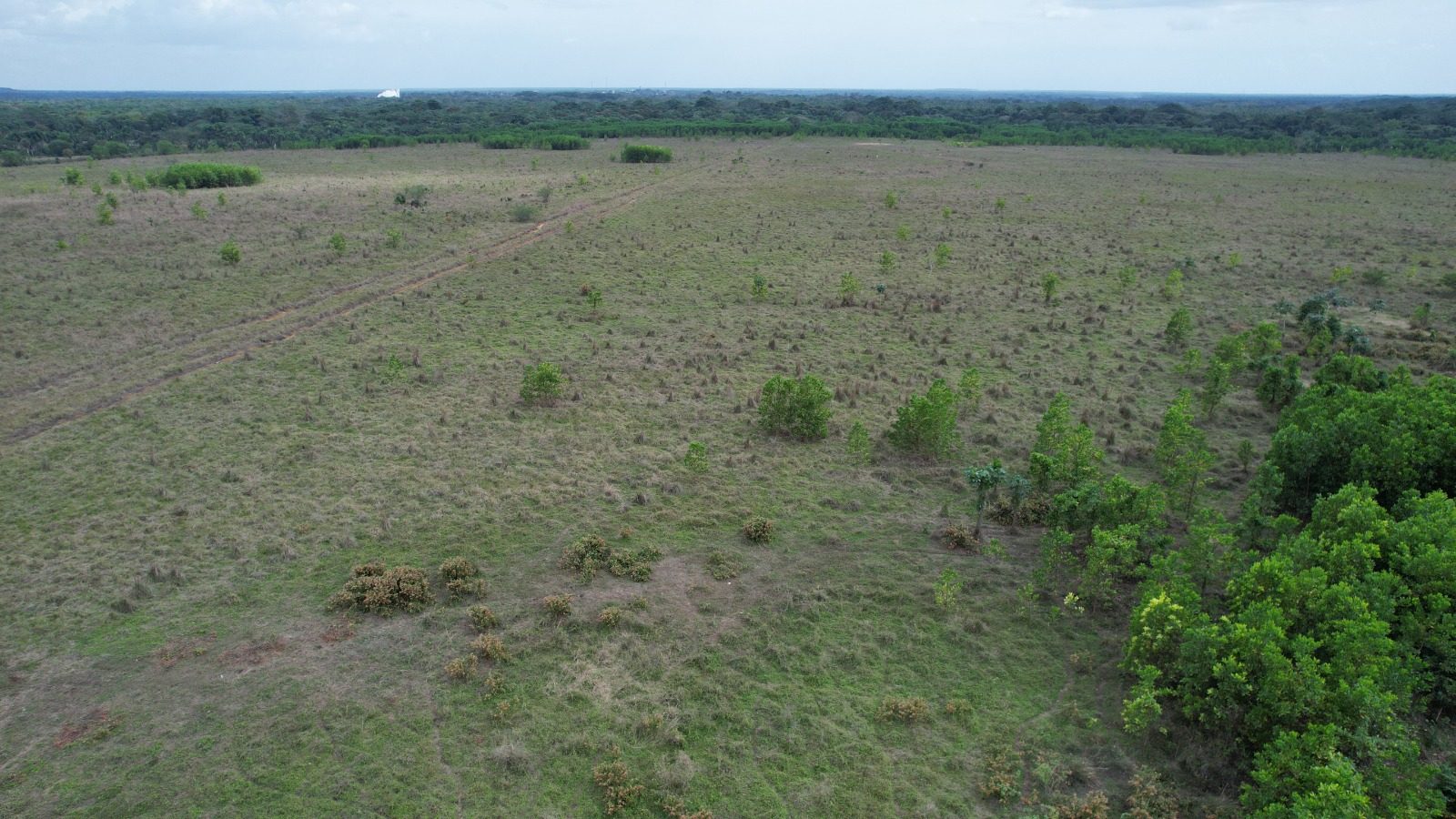 1,989-Tarea Agricultural & Livestock Farm in Bayaguana