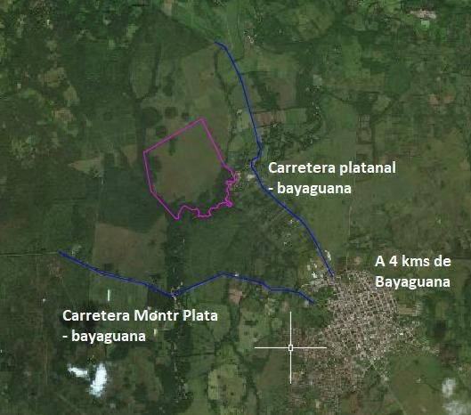 1,989-Tarea Agricultural & Livestock Farm in Bayaguana