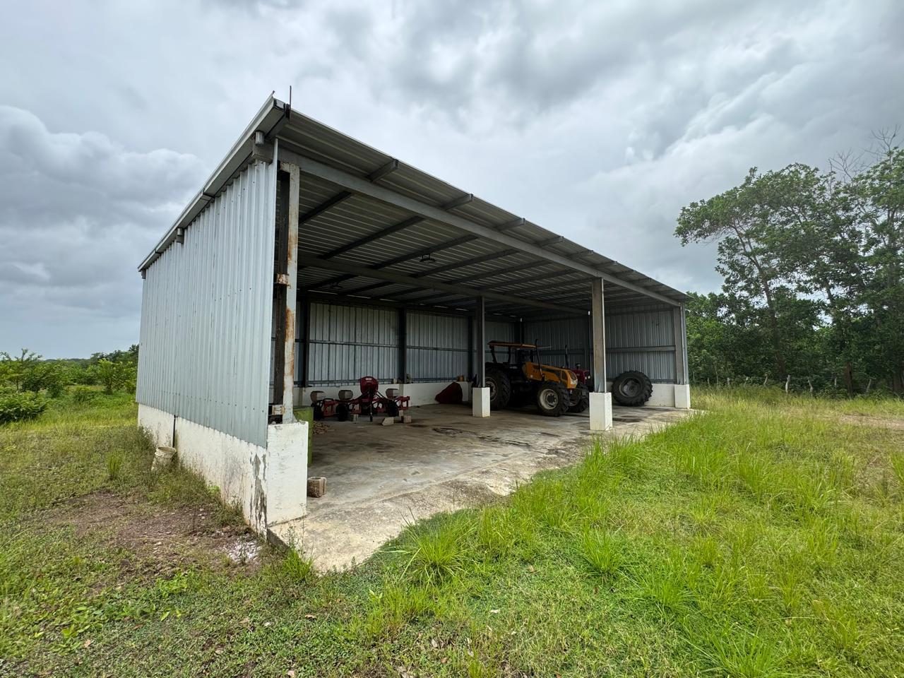 1,989-Tarea Agricultural & Livestock Farm in Bayaguana